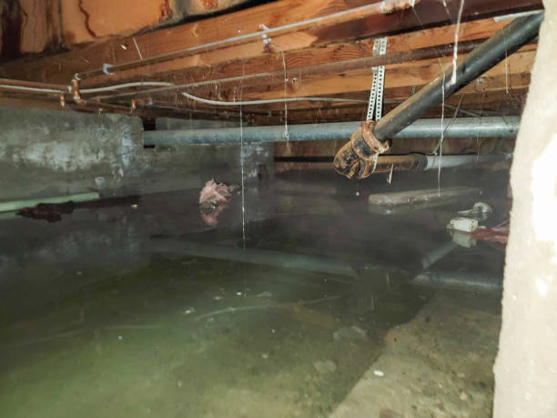 Best Fire Damage Restoration  in Lindenhurst, NY