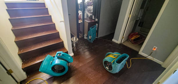 Best Water damage restoration cost  in Lindenhurst, NY