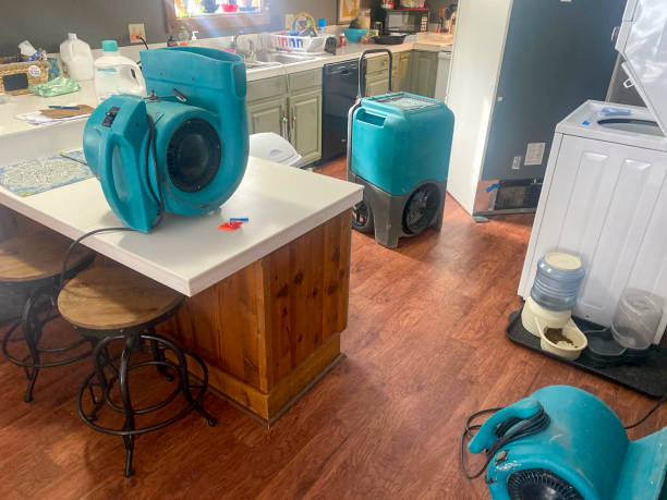Best Flood damage cleanup  in Lindenhurst, NY