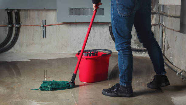 Water damage restoration mold remediation in Lindenhurst, NY