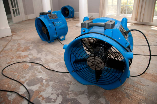 Best Flooded house restoration  in Lindenhurst, NY