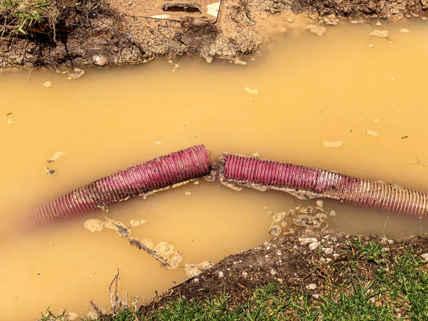 Best Flood restoration services  in Lindenhurst, NY